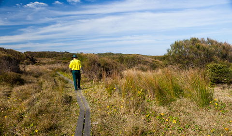 Murramarang Aboriginal Area Walking Track - Accommodation Whitsundays 3