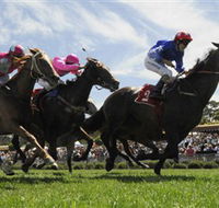 Moruya Racecourse - Accommodation Whitsundays