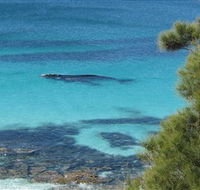 Jervis Bay Marine Park - Accommodation Whitsundays