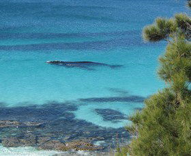 Jervis Bay Marine Park - Accommodation Whitsundays 0