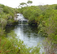Booderee National Park Green Patch and Telegraph Creek Walking Tracks - Accommodation Whitsundays
