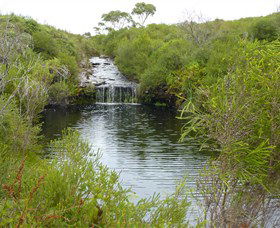 Booderee National Park: Green Patch And Telegraph Creek Walking Tracks - Accommodation Whitsundays 0