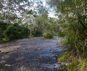 Booderee National Park: Green Patch And Telegraph Creek Walking Tracks - Accommodation Whitsundays 2
