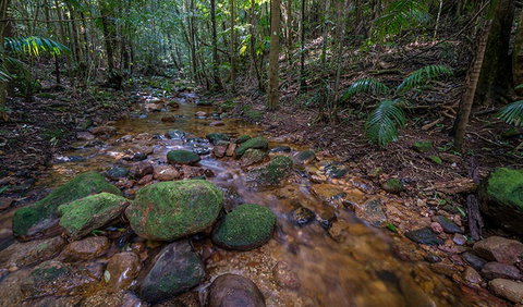 Starrs Creek Picnic Area - Accommodation Whitsundays 0