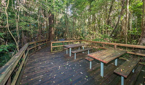 Starrs Creek Picnic Area - Accommodation Whitsundays 1