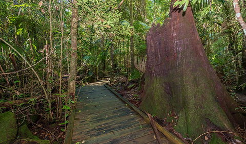 Starrs Creek Picnic Area - Accommodation Whitsundays 2