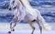Australian Outback Spectacular: High Country Legends - thumb 1