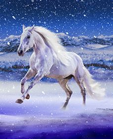 Australian Outback Spectacular: High Country Legends - Accommodation Whitsundays 1