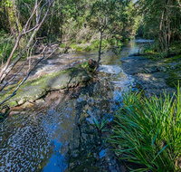 Dawson River walking track - Accommodation Whitsundays
