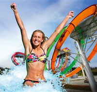 Wet'n'Wild Gold Coast - Accommodation Whitsundays