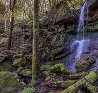Coorabakh National Park - Accommodation Whitsundays