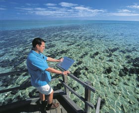 Hamelin Pool Stromatolites - Accommodation Whitsundays 2