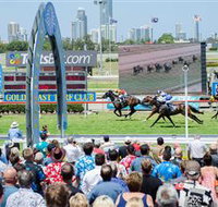 Gold Coast Turf Club - Accommodation Whitsundays