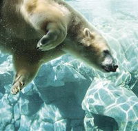 Australia's Sea World - Accommodation Whitsundays