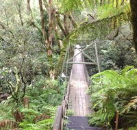 Bemm River Scenic Reserve - Accommodation Whitsundays
