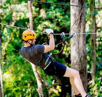 TreeTop Challenge Currumbin - Accommodation Whitsundays