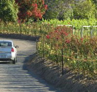 Cassegrain Wines - Accommodation Whitsundays