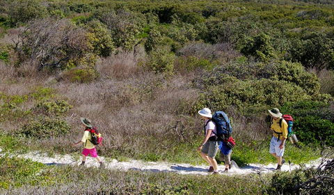 Yuraygir Coastal Walk - Accommodation Whitsundays 0