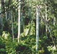 Lind National Park - Accommodation Whitsundays