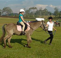 Port Macquarie Horse Riding Centre - Accommodation Whitsundays