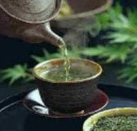 World Par-TEA - Accommodation Whitsundays