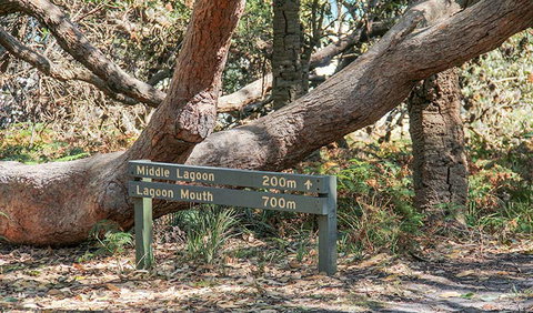 Middle Lagoon Walking Track - Accommodation Whitsundays 0
