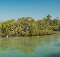 Tyagarah Nature Reserve - Accommodation Whitsundays