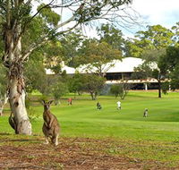 Pambula Merimbula Golf Club - Accommodation Whitsundays