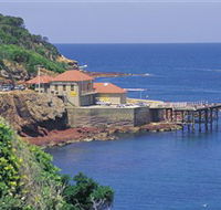 Merimbula Aquarium - Accommodation Whitsundays