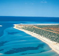 Monkey Mia - Accommodation Whitsundays
