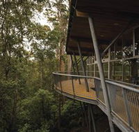 Tarkine Forest Adventures - Dismal Swamp - Accommodation Whitsundays