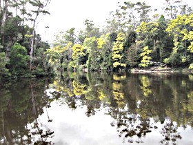 Arthur River TAS Accommodation Whitsundays