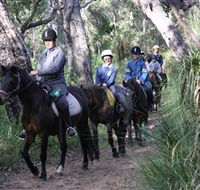 Mirravale Horse Riding School - Accommodation Whitsundays