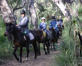 Mirravale Horse Riding School - Accommodation Whitsundays 0