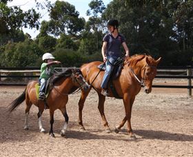 Mirravale Horse Riding School - Accommodation Whitsundays 1