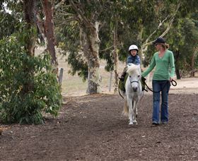 Mirravale Horse Riding School - Accommodation Whitsundays 2