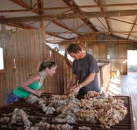 Peron Homestead - Accommodation Whitsundays
