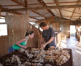Peron Homestead - Accommodation Whitsundays 0