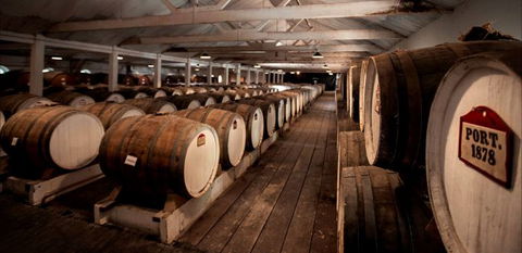 Seppeltsfield Winery Tours - Accommodation Whitsundays 4