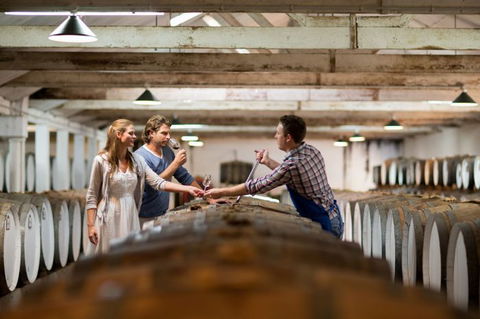 Seppeltsfield Winery Tours - Accommodation Whitsundays 7