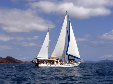 Adventure, Cruise, Dive And Outer Reef - Whitsundays Sailing Adventures - Accommodation Whitsundays 5