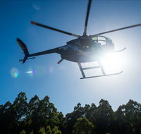 Tall Timbers Adventure Tours - Accommodation Whitsundays