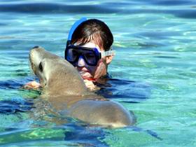 Gawler Ranges Wilderness Safaris - Accommodation Whitsundays 2