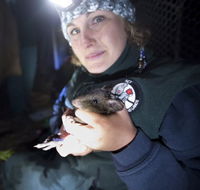 Naturewise at Tidbinbilla - Accommodation Whitsundays