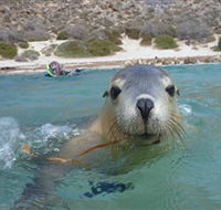 Calypso Star Charters - Accommodation Whitsundays