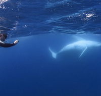 Sunreef Mooloolaba - Accommodation Whitsundays