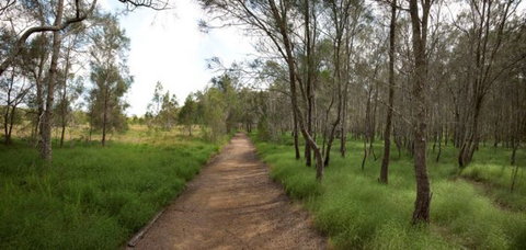 Billai Dhagun Circuit (Place Of She-Oaks) - Accommodation Whitsundays 0