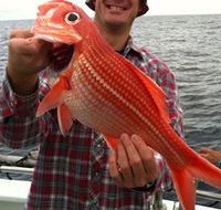 Goin' Off Safaris - Accommodation Whitsundays