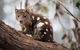 Oceania Tours And Safaris - thumb 22
