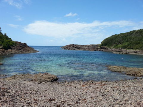 Windang Dive And Spearfishing - Accommodation Whitsundays 0